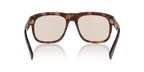 Tortoise Brown