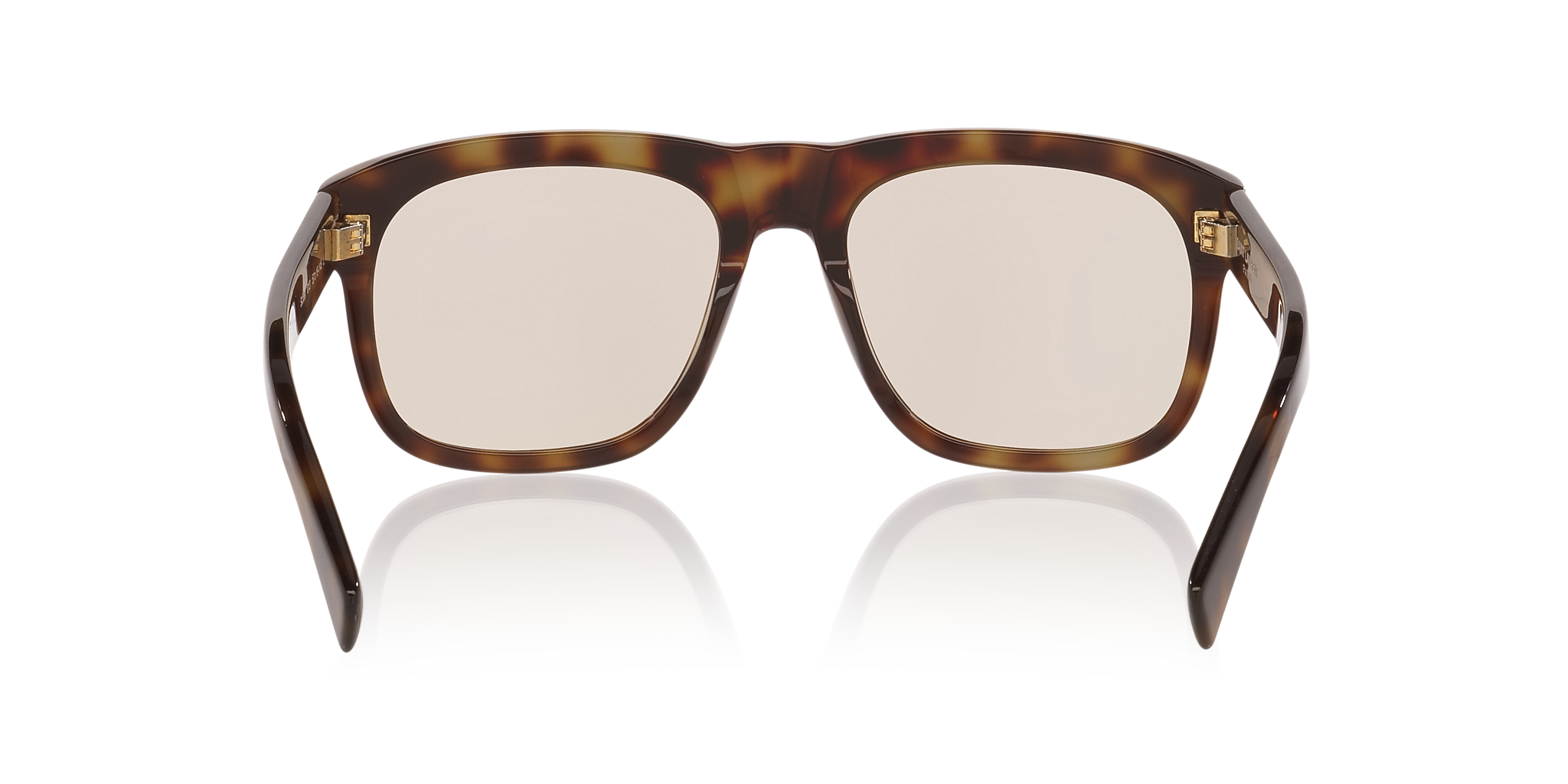 Tortoise Brown