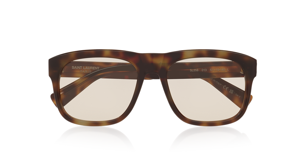 Tortoise Brown