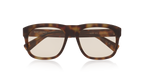 Tortoise Brown