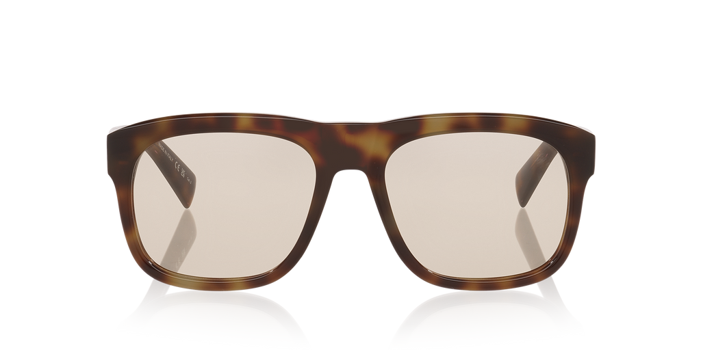 Tortoise Brown
