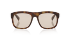 Tortoise Brown
