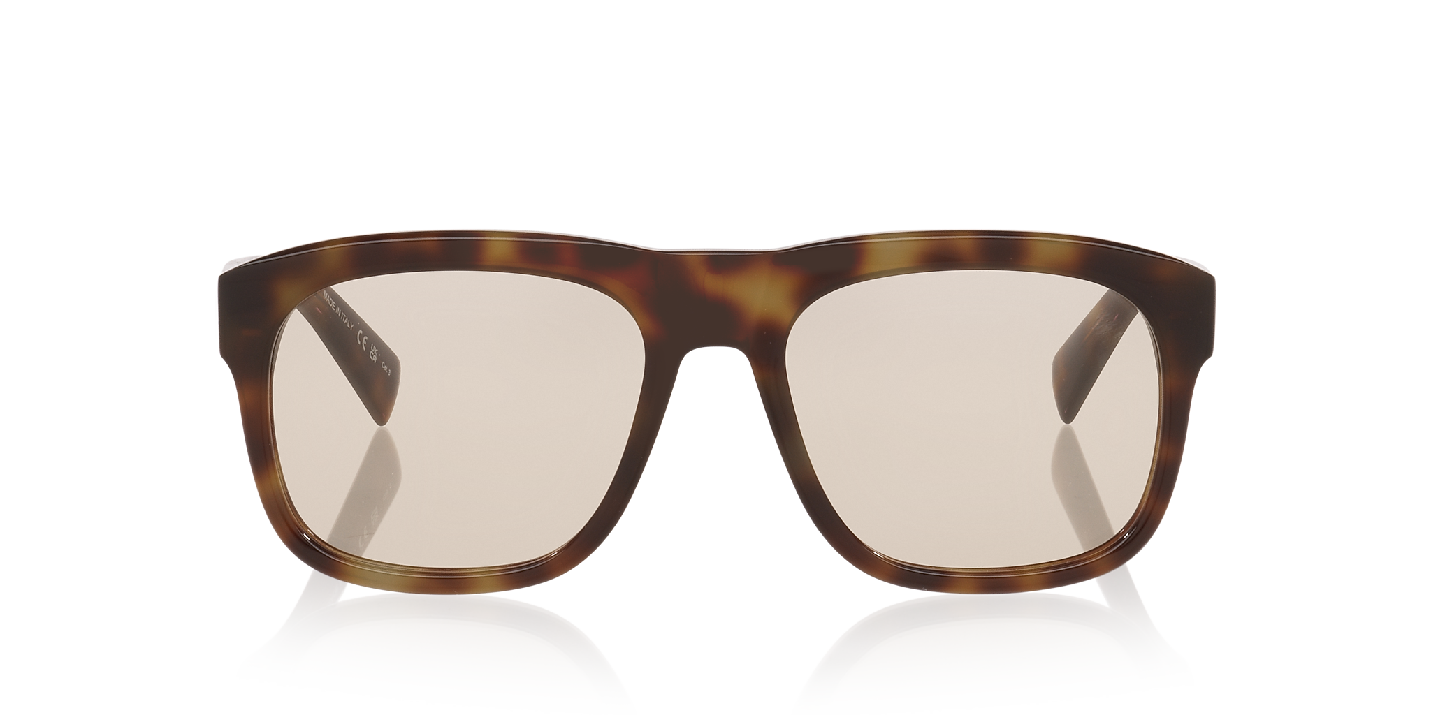 Tortoise Brown