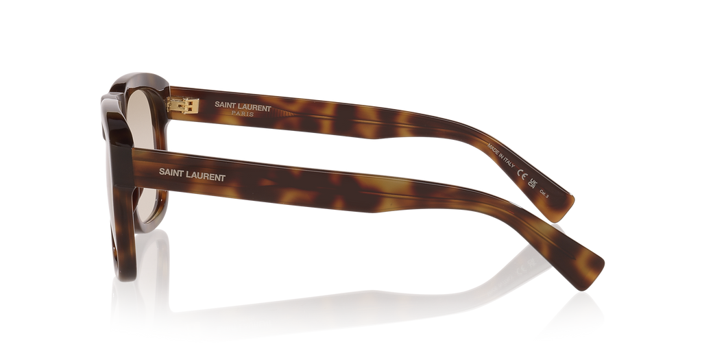 Tortoise Brown