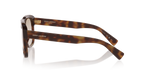 Tortoise Brown