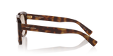 Tortoise Brown