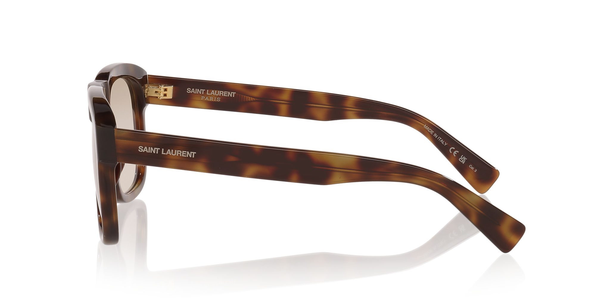 Tortoise Brown