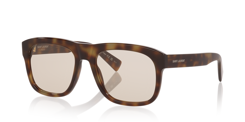 Tortoise Brown