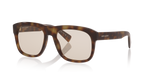 Tortoise Brown
