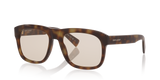 Tortoise Brown