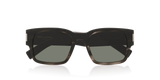 Tortoise Grey