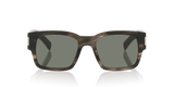 Tortoise Grey