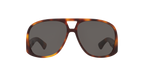 Tortoise