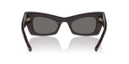 Tortoise