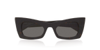 Tortoise