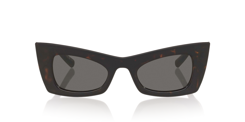 Tortoise