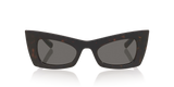 Tortoise