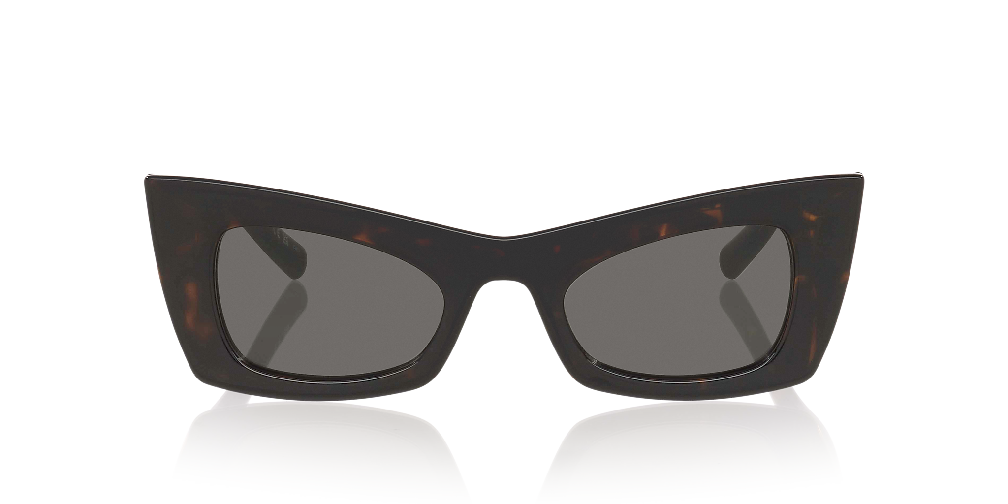 Tortoise