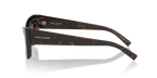 Tortoise