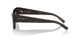 Tortoise