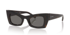 Tortoise