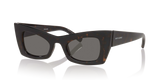 Tortoise