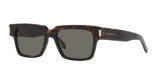 Tortoise