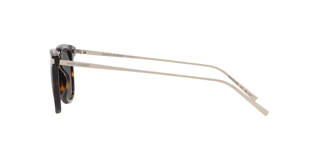 Tortoise