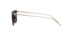 Tortoise
