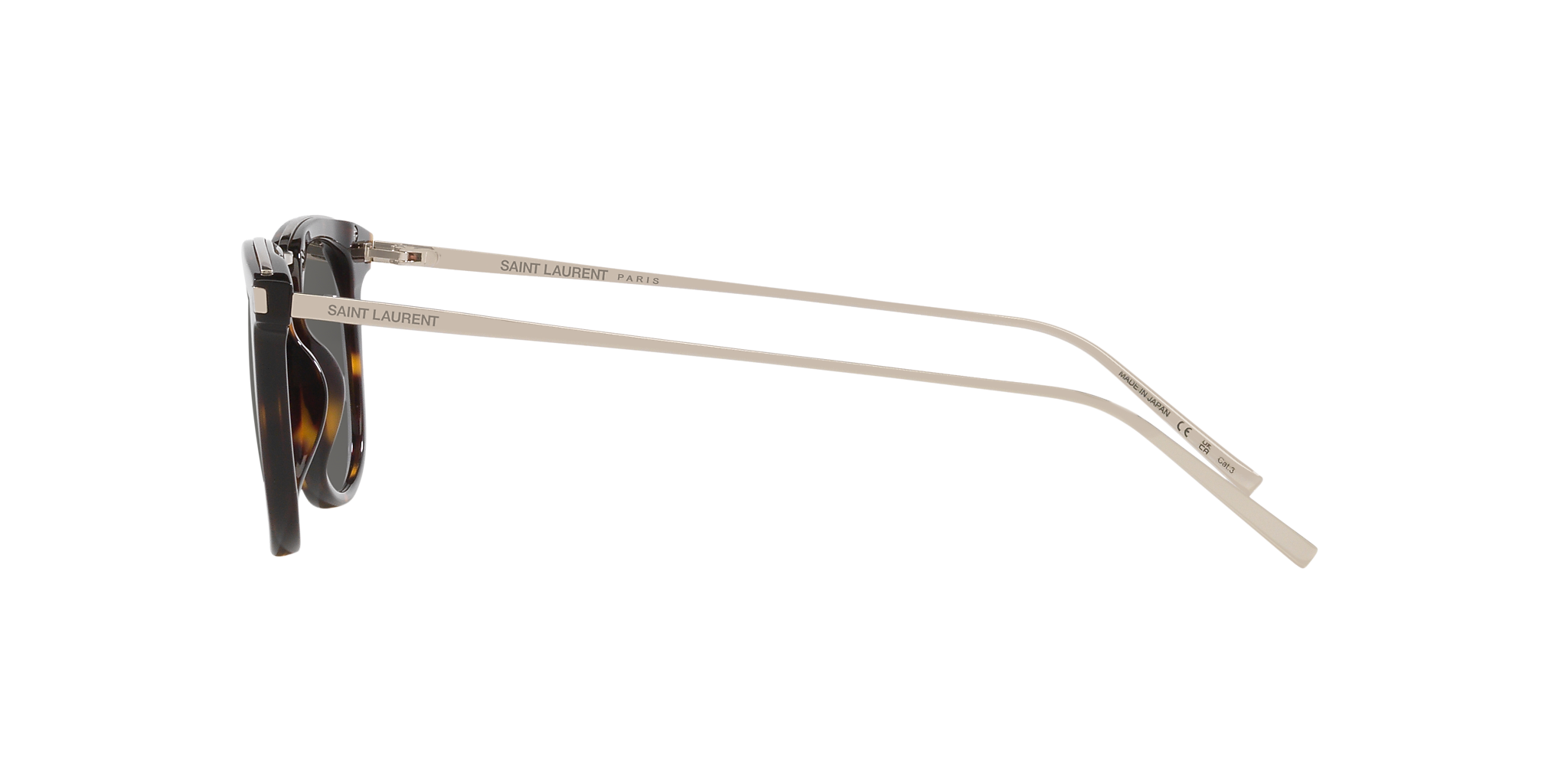 Tortoise