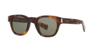 Tortoise