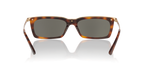 Tortoise