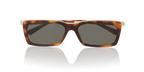 Tortoise