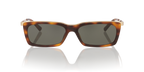 Tortoise