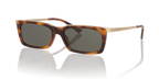 Tortoise