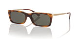 Tortoise