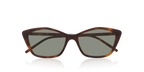 Tortoise