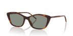 Tortoise