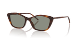 Tortoise