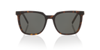 Tortoise