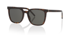 Tortoise