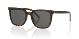Tortoise