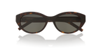 Tortoise