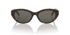 Tortoise