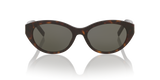 Tortoise