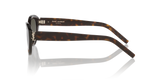 Tortoise