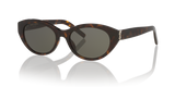 Tortoise
