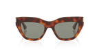 Tortoise