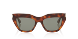 Tortoise