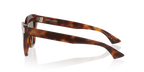 Tortoise